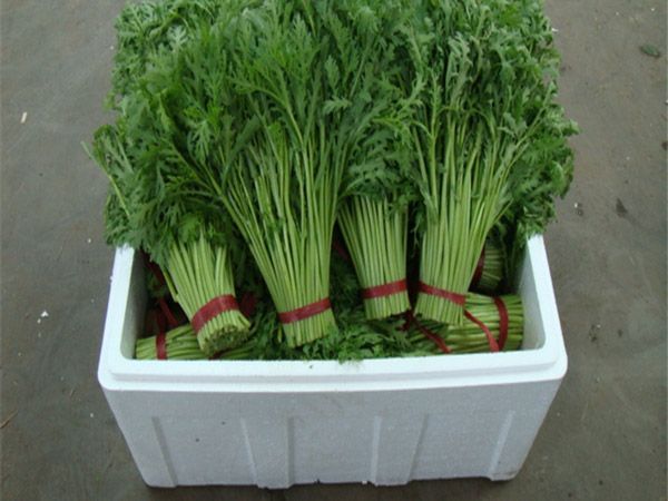 泡沫蔬菜保鲜箱　