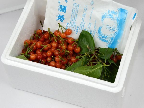 泡沫蔬菜保鲜箱　